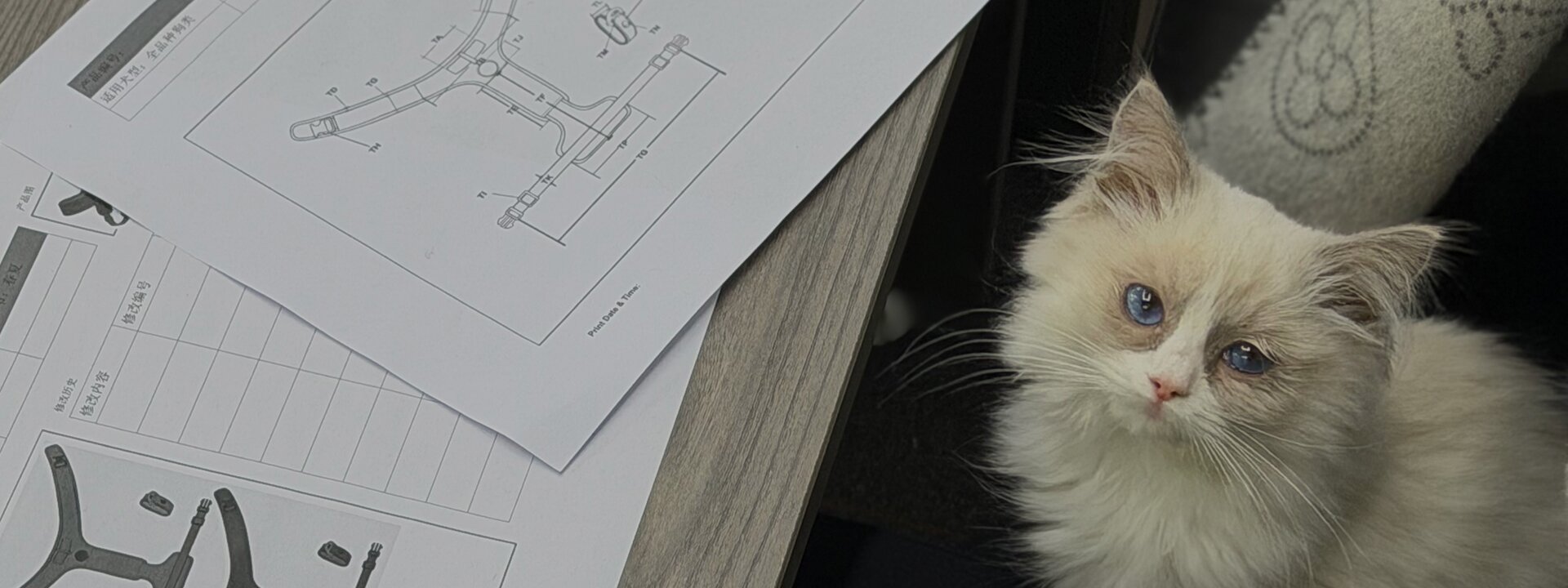Design & Development